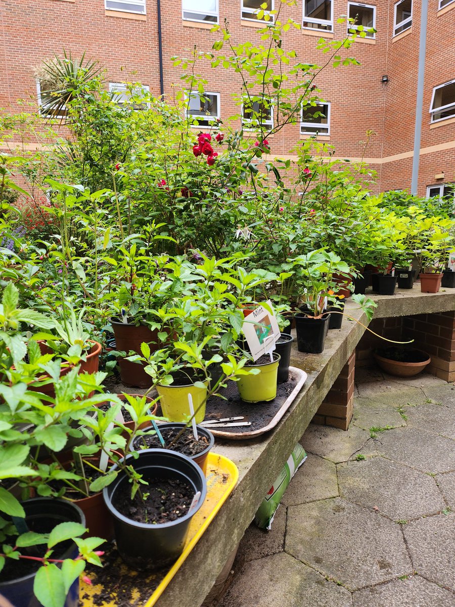 Sarah Revel tweet media