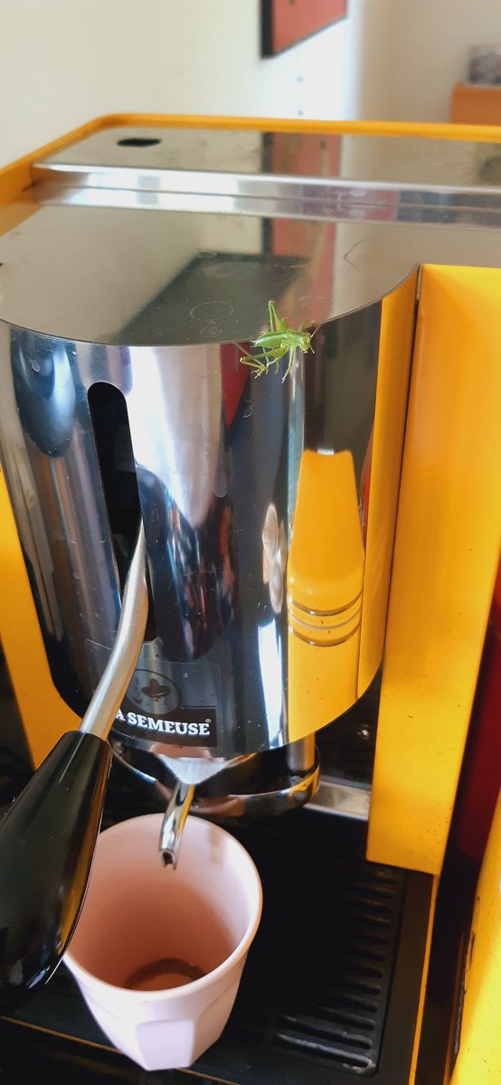 Wir wollen Kaffee!! Jetzt!