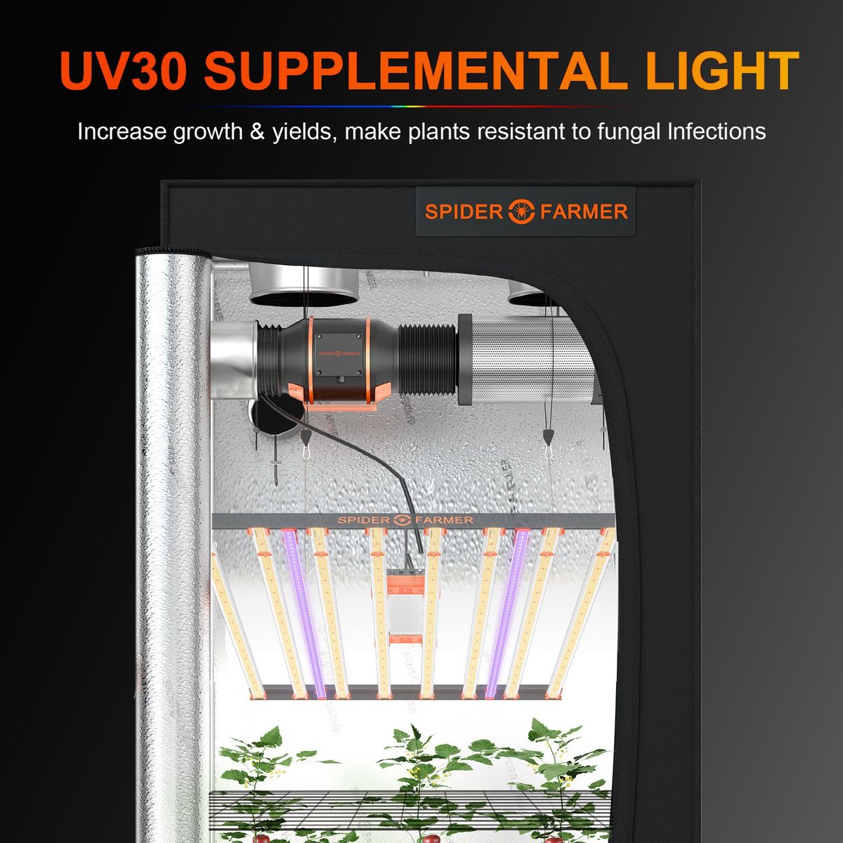 Looking for a way to take your plant care to the next level? Look no further than our #UV30 supplemental grow light!👏👏

The UV30 is running 10% off sale on the website , don't miss out on this amazing deal‼️