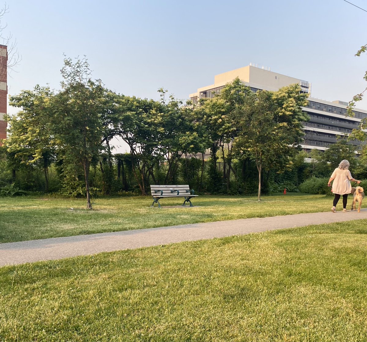 JohnLorinc's tweet image. #topoli Visiting almost any other big city offers a bracing reminder that Toronto’s approach to park benches is parsimonious, anti-social and occasionally sadistic. Why, in parkettes like these, are the paths not lined with benches? A question for the mayoral candidates…
