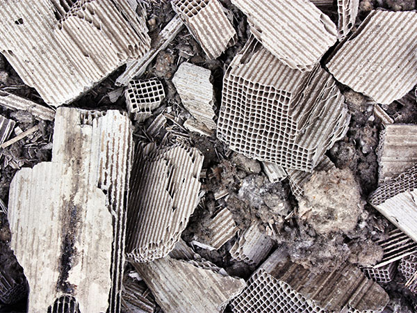 powdersystems's tweet image. ❓Catalyst recovery describes recovering and recycling catalysts used in various chemical processes

💡Process optimisation methods have led specialist companies to explore using Agitated Nutsche Filter Dryers for catalyst recovery
bit.ly/43rDVyK

#catalystrecovery #anfd