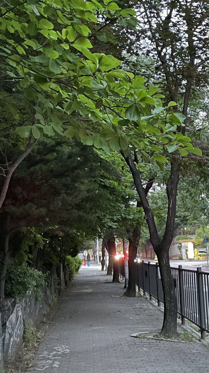 ddakpul's tweet photo. 퇴근후 잠시 걷기..
덥다.. https://t.co/PK69iX15Jf