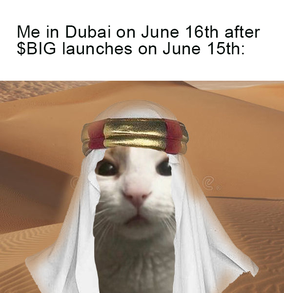 Brb Going to Dubai!😼
