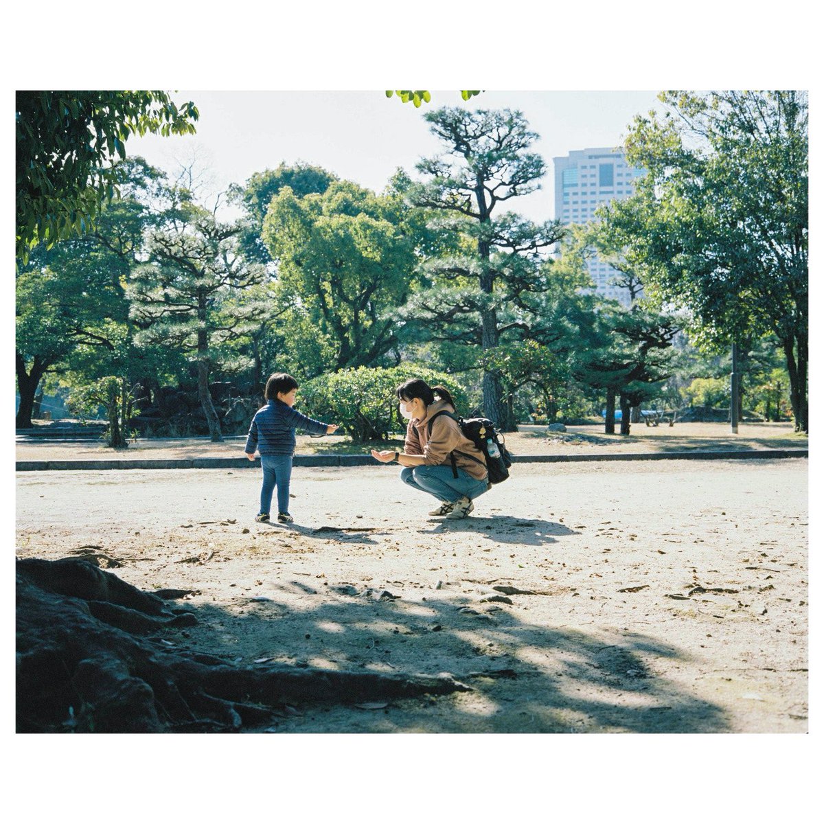 #67の日
#Plaubelmakina67