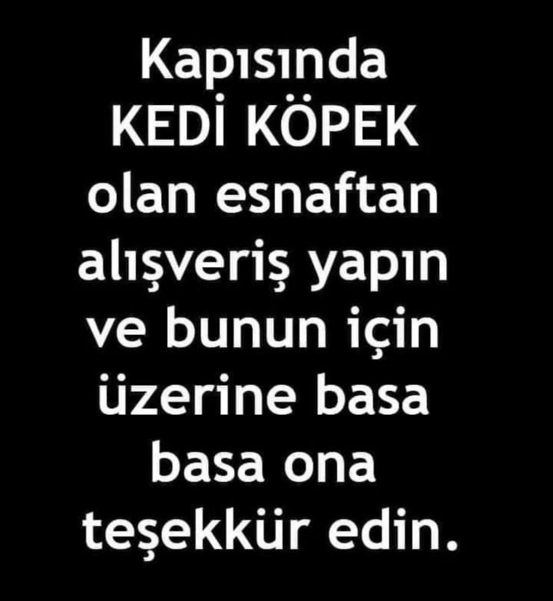 D0gayiKoru's tweet photo. #SokakHayvanlarıSahipsizDeğil https://t.co/PKXSqDskoB