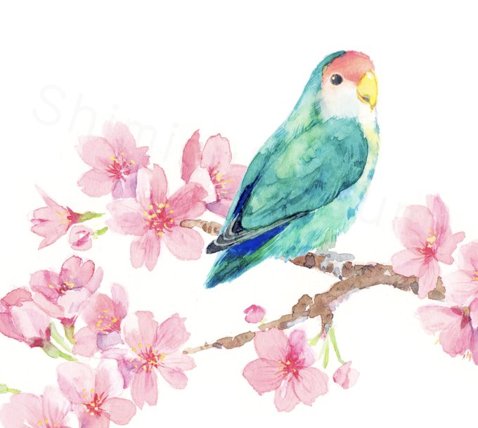 #コザクラインコ  がトレンドに上がってたので便乗。水彩で動物描いてます。
