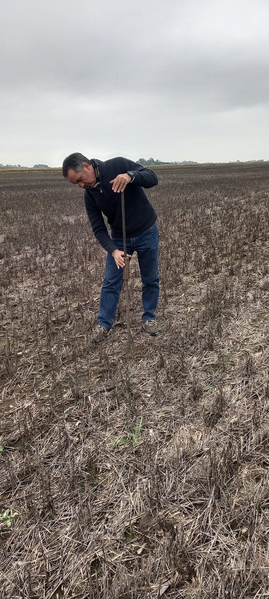 Medir para conocer y tomar mejores decisiones. Arrancando campaña nueva. Nuevas esperanzas. Penetrometría para evaluar compactación