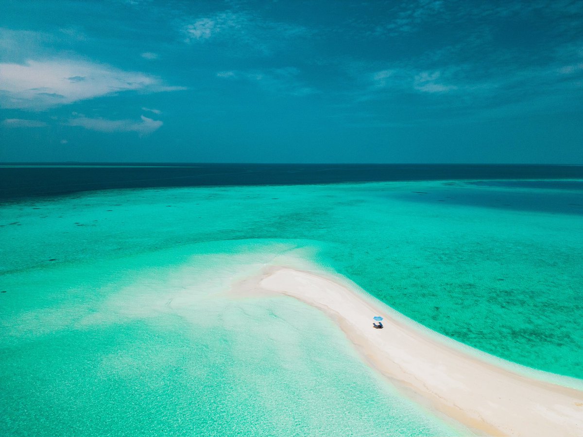 dhoanimaldives's tweet photo. Where the white sand meets the crystal clear waters, adventure awaits! ⛱️🌊

Contact: +960 9883177
Email: contact@dhoanimaldives.com

📷: @ishotmaldives

#dhoanimaldives #guesthouse #maldives #visitmaldives #sunnysideoflife #islandhopping #fishing #scuba #snorkeling #vacation https://t.co/gnGyIceV7B