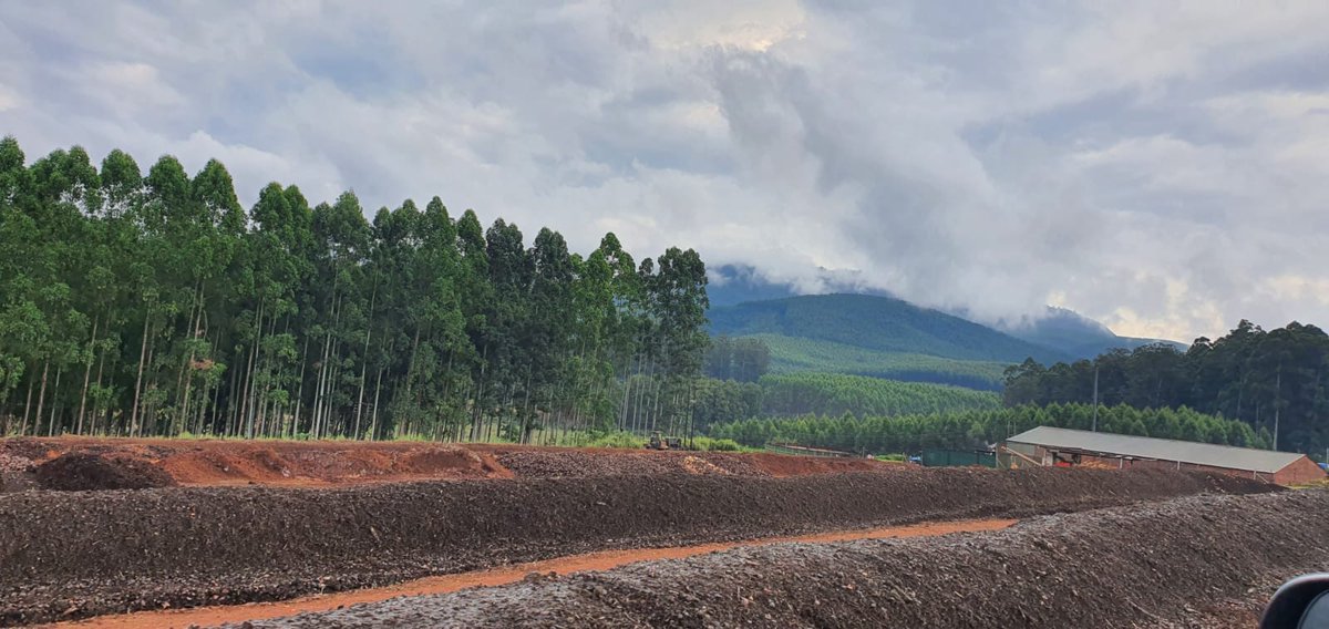 Avocado Research Programme tweet media