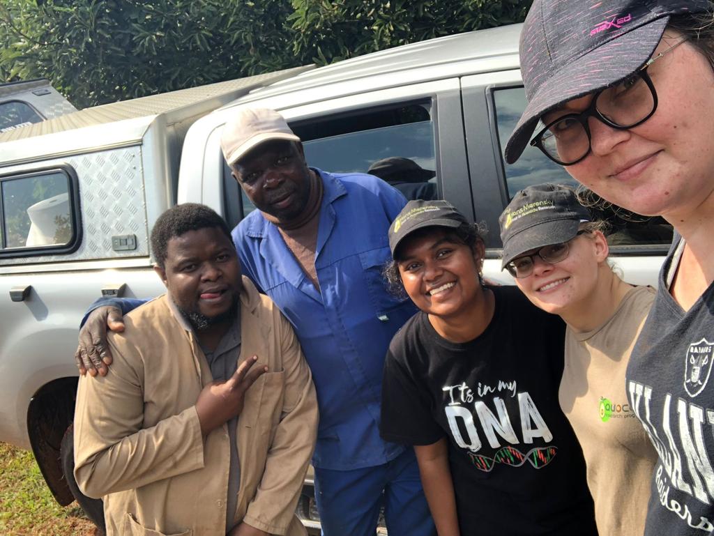 Avocado Research Programme tweet media