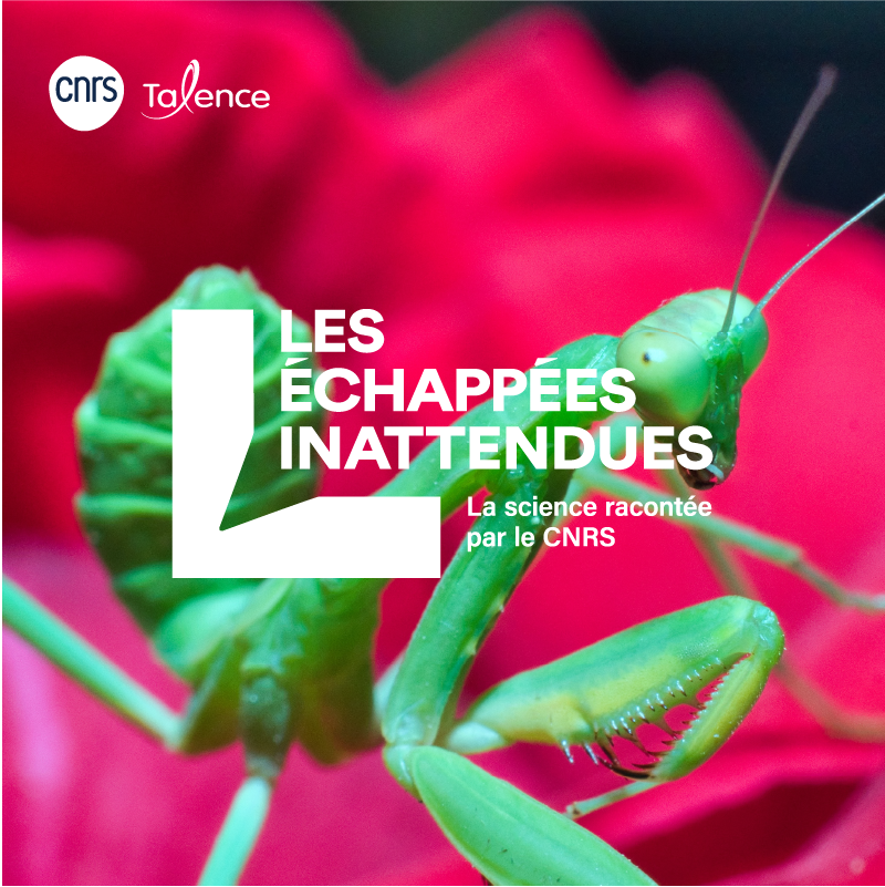 CNRSAquitaine's tweet photo. 🔬👩‍🔬 Les scientifiques vous invitent à vivre une expérience unique lors des conférences-démo des #ÉchappéesInattendues ! Assistez en direct à des manipulations qui dévoilent les dessous de la recherche à l’œuvre. 

Rendez-vous les 9 &amp; 10 juin à Talence !

 https://t.co/2Bmd8PvAEJ https://t.co/YiA9J85FUJ