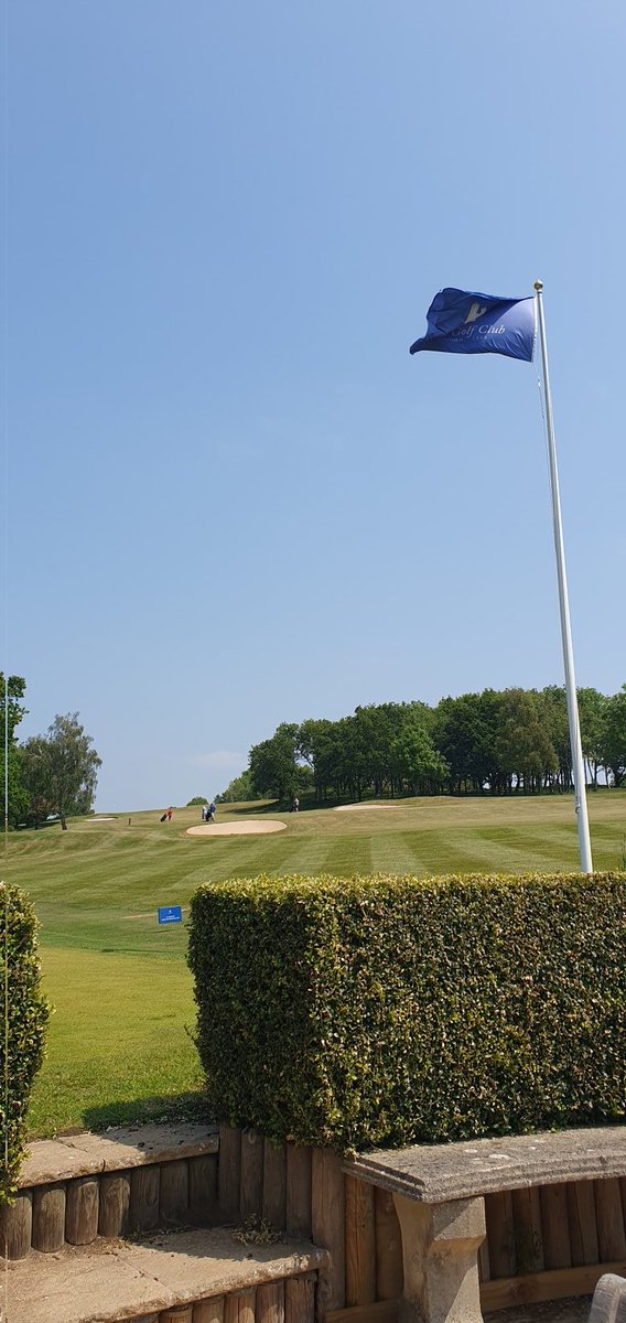 David Sumsion tweet media