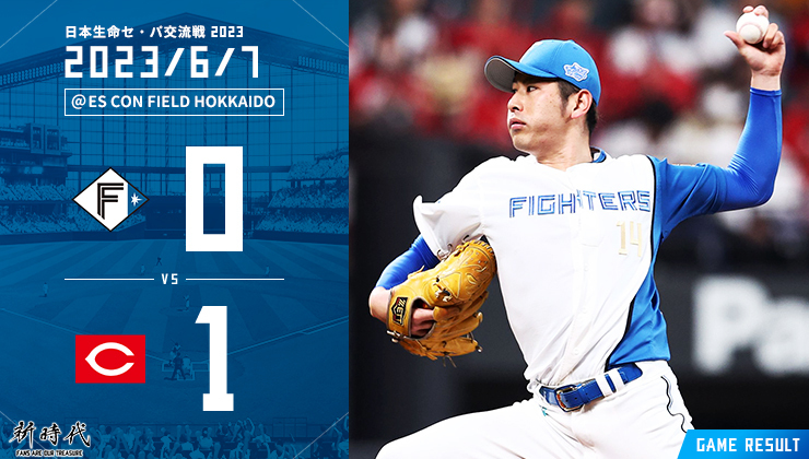 クリアランス超特価 ファイターズ メタルスライムボール スポーツ