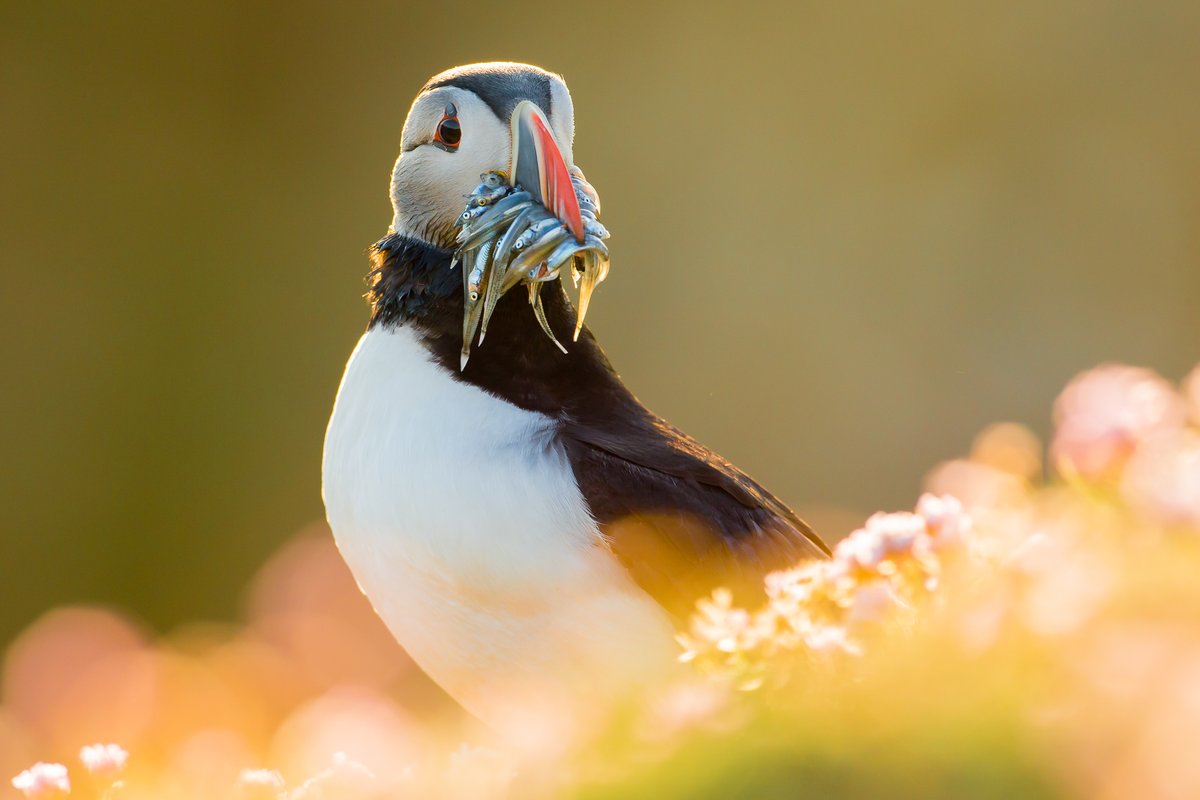 KevMorgans tweet media