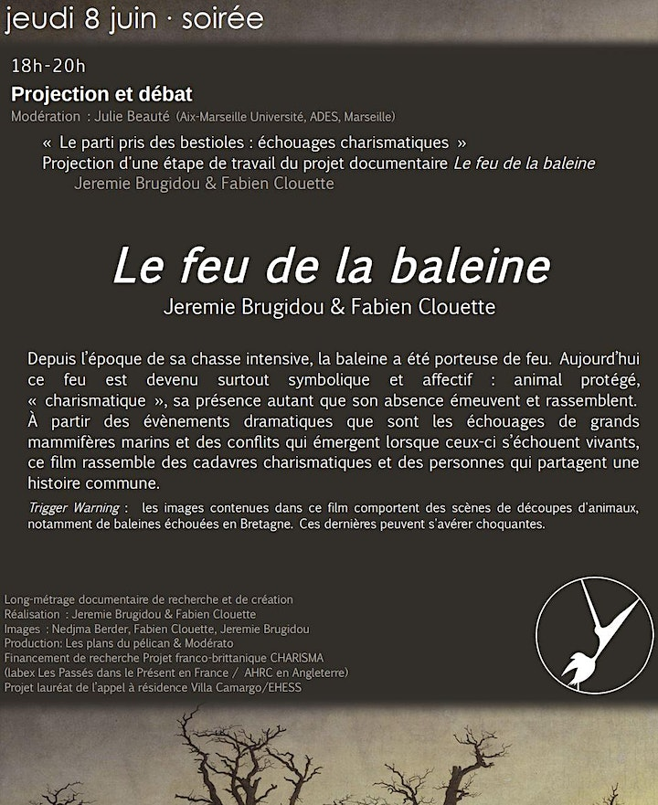FilmsPelican's tweet photo. Demain, projection de notre travail en cours LE FEU DE LA BALEINE dans le cadre du colloque Matières de la mort, à l'Hôpital de la Timone, 18h - 🐳 https://t.co/wmP5sWVqx1 https://t.co/bGG8O6Gogl