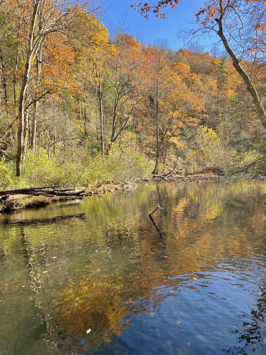 Sending love and courage to people lobbying today and preparing to rally tomorrow.
Holding my favorite trout stream in mind —this is one of 100’s of waterbodies MVP will cross. #NoMVP