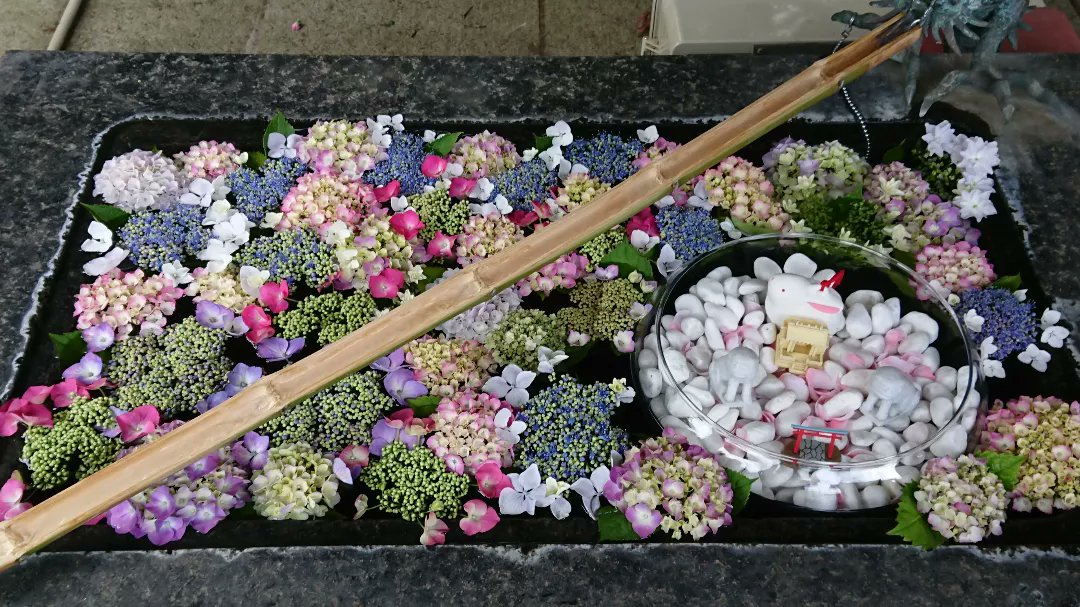 727827's tweet photo. 紫陽花の花手水が涼しげ💐💐💐 https://t.co/oMT1P1BGFl
