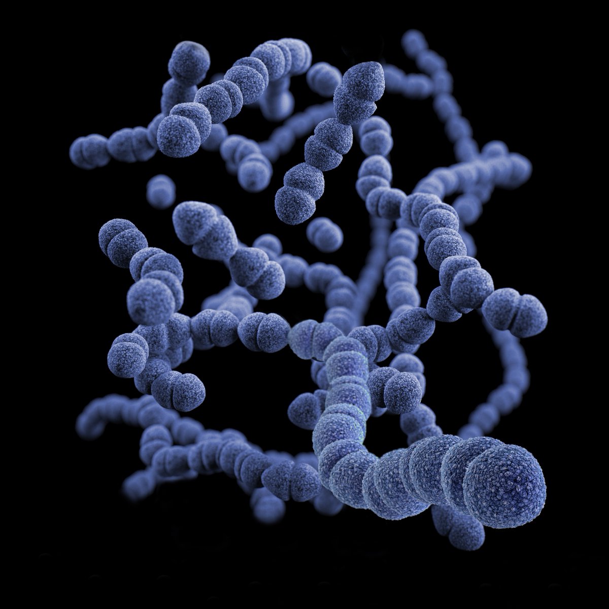 Naturvetenskap's tweet photo. Gener som gör bakterier resistenta mot #antibiotika finns i nästan alla miljöer. Det visar en studie från @Chalmers och @goteborgsuni. Problemet med bakterieinfektioner som inte kan behandlas med antibiotika riskerar att förvärras. 
https://t.co/vI8nfJtfaT https://t.co/3ltQtb05bs