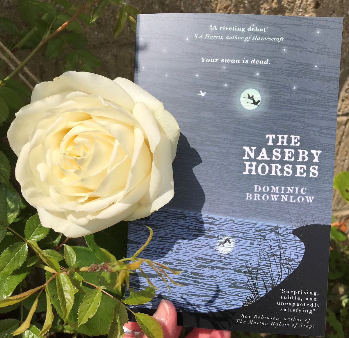 Another stunner! I published this in 2019. It's set in June, so a perfect read right now. Should have been on many a prize shortlist. It's bloody brilliant. After 30 June it will only be available as an audio book... 

#BooksWorthReading 

louisewaltersbooks.co.uk/lwbbooks
