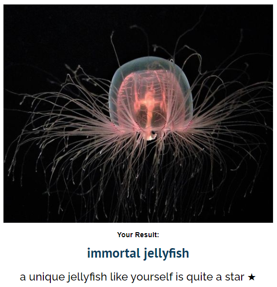 you can never get rid of me mwahaha😈