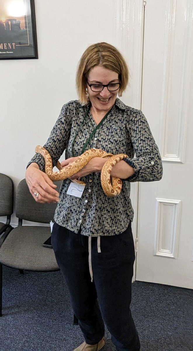 Carers Federation (@carersfednews) on Twitter photo We invited <a href="/AnimalHouseZoo/">Animal House Zoo</a> over to Carers Federation HQ to be part of <a href="/carersfedayc/">@carersfedayc</a>'s #CarersWeek2023 activities. It looks like the staff had just as much fun as the young carers! #Nottinghamyoungcarers #carersuk We invited <a href="/AnimalHouseZoo/">Animal House Zoo</a> over to Carers Federation HQ to be part of <a href="/carersfedayc/">@carersfedayc</a>'s #CarersWeek2023 activities. It looks like the staff had just as much fun as the young carers! #Nottinghamyoungcarers #carersuk