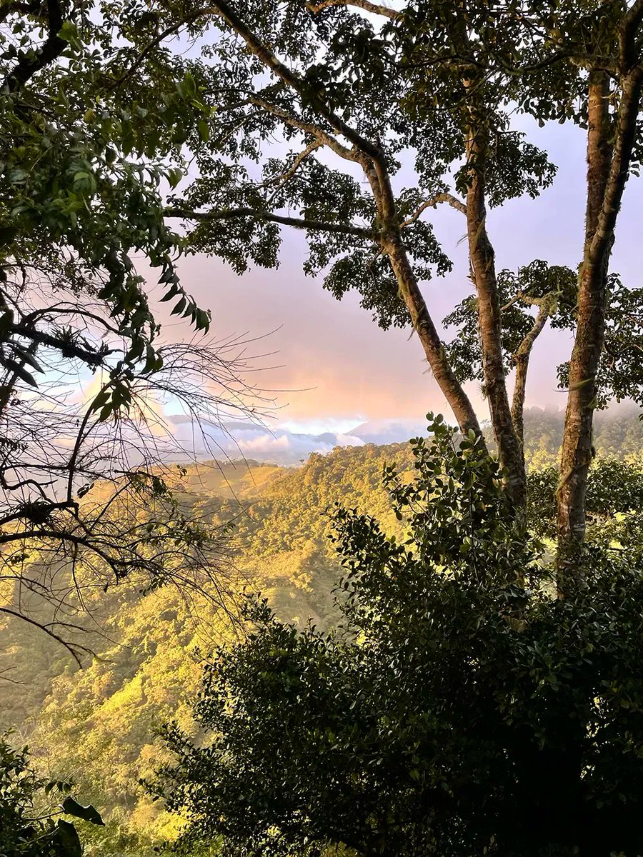 ✨ Embracing the spirit of regenerative travel, we explore while preserving the natural wonders we encounter. From the lush rainforests of Costa Rica to landscapes worldwide, let's travel responsibly & leave a positive impact on the places we visit. #RegenerativeTravel 🌎 🌱 🌞