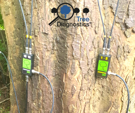 Treediagnostics's tweet image. Here&apos;s a setup of Fakopp Arborsonic Sonic Tomography.👀

treediagnostics.co.uk   (Hi-tech Equipment Sales &amp;amp; Training)

#sonictomography #treeanalysis #arborists #treeconsulting #treediagnostics #arbthings #arborculture #trees #analysis