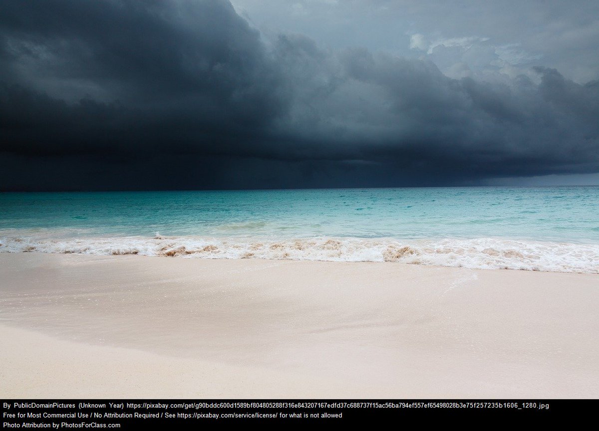 Bec Taylor tweet media