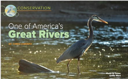 Dr. Chris Lorentz, Director of the Thomas More University Biology Field Station, has an article featured in Cincy Magazine's Ohio River Way special section. The article is entitled 'One of America's Great Rivers' and can be found at the link below:
midwesterntraveler.com/3d-flip-book/o…