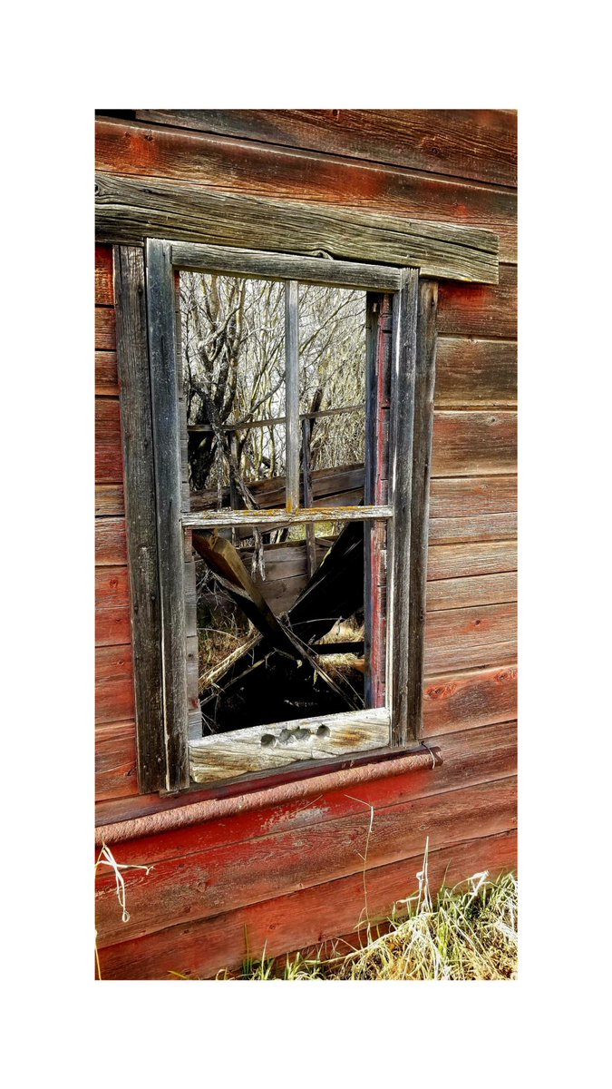 Can call this looking in, or looking Out
#somthingred #oldandabandoned #abando #oldwood #lookingin  #lookingoutmywindow  #lookingout