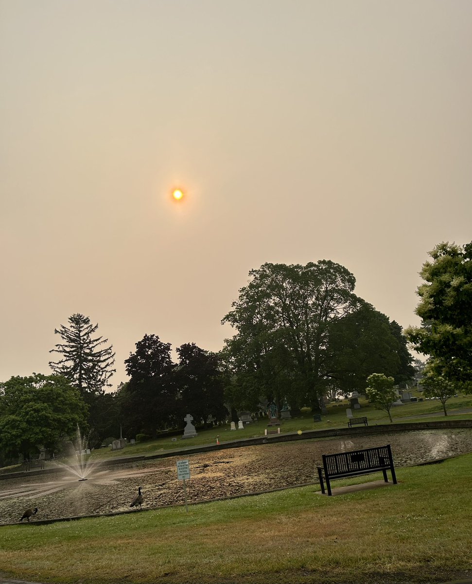 Nick Thony tweet media