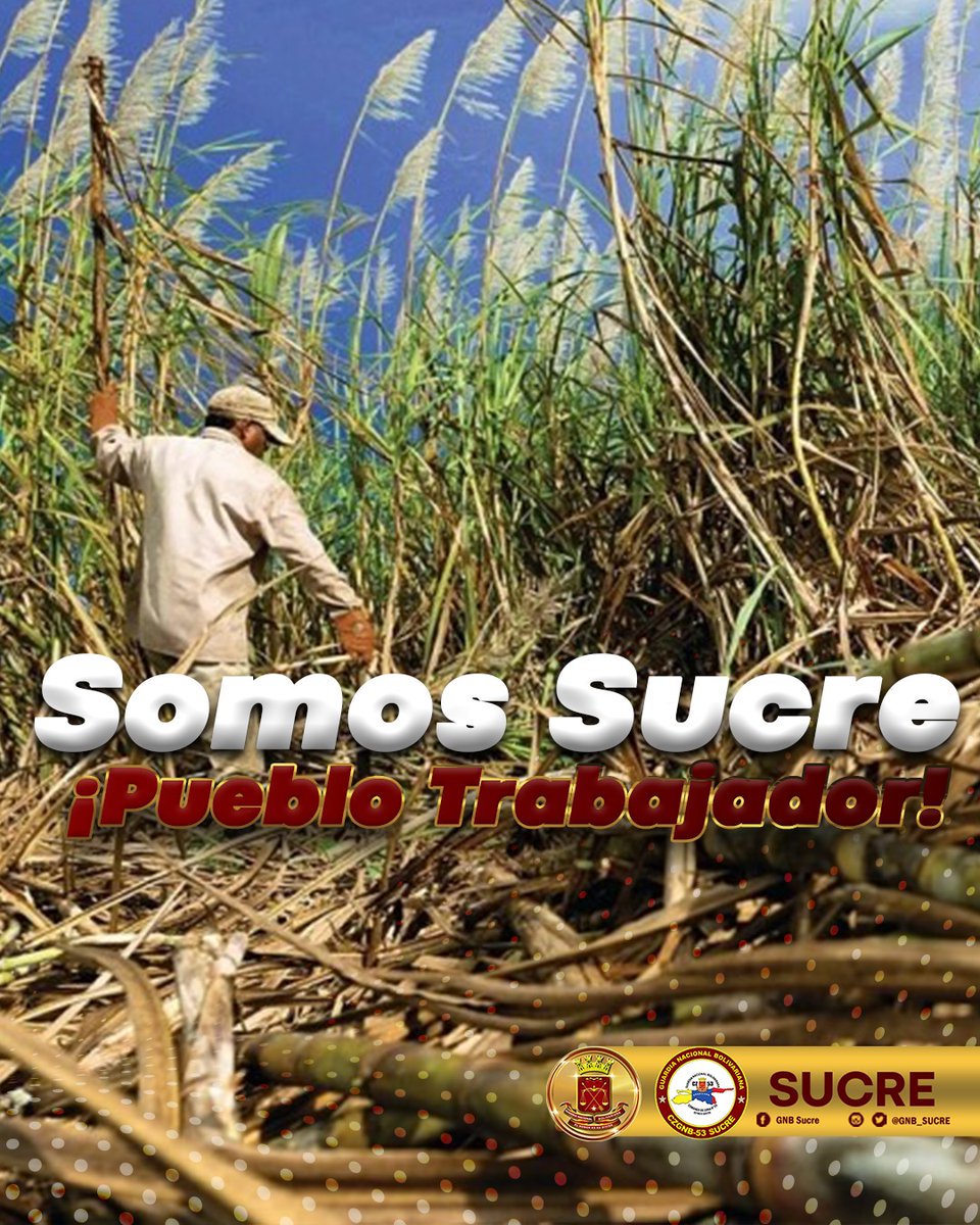 #7Jun Pueblo de Acreedores de la satisfacción de los buenos trabajos y esfuerzo.
#SucrePuebloTrabajador