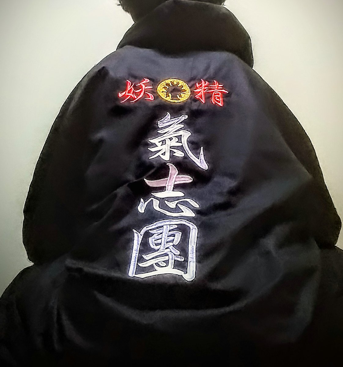 日本武道館GIGのときに買わずに後悔した、#氣志團 ちゃん公式チーム