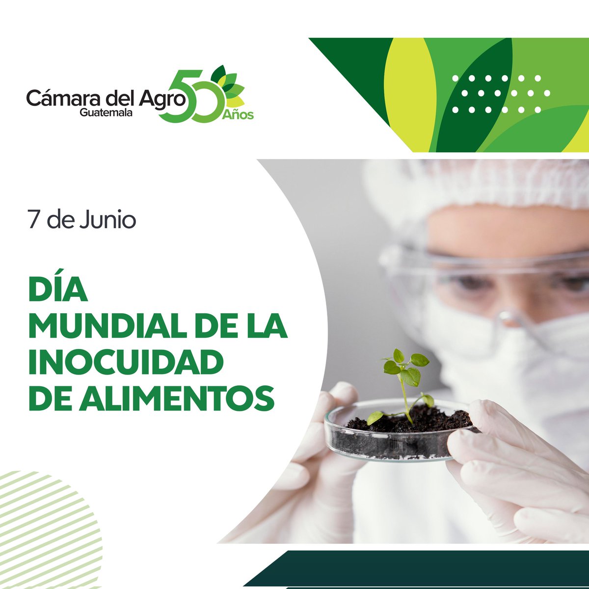 CamagroGuate's tweet photo. El Sector Agro de Guatemala se ha posicionado a nivel mundial y local, por su producción de alta calidad que cumple y vigila los estándares internacionales, estos previenen, detectan y gestionan riesgos a través de la inocuidad alimentaria.

#DiaMundialDeLaInocuidadAlimentaria https://t.co/8tsVWQpfuA