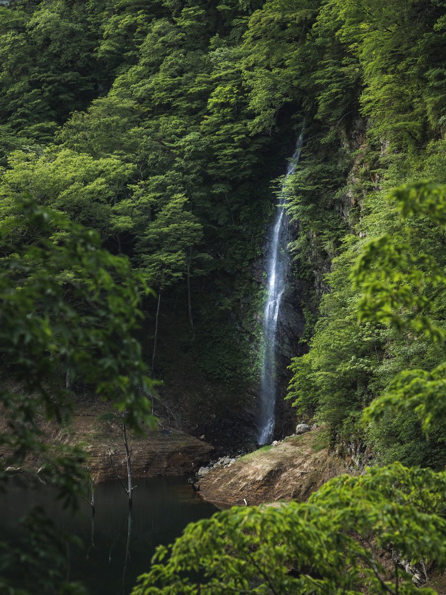 那須塩原でひっそり流れる回顧の滝
#滝
#EOSR6
