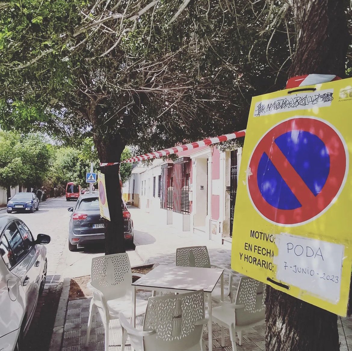 @redutreraporelclima Podar en esta época, con los árboles frondosos y llenos de aves. ¿Tanto molesta la sombra?. La mejor poda es la que no se
hace….#nomaspodaagresiva #utrera