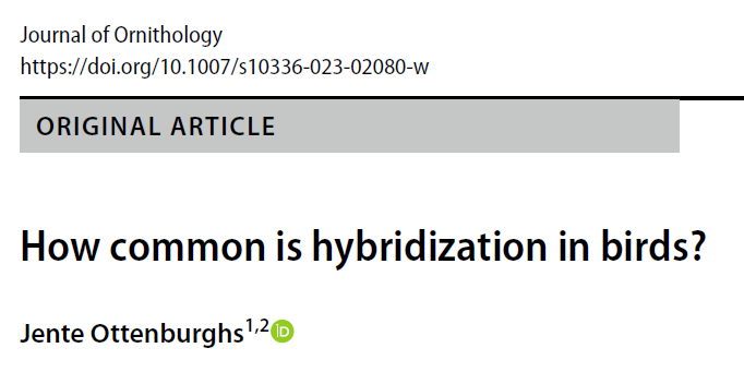 🚨New paper alert🚨 How common is hybridization in birds? link.springer.com/article/10.100… My short review on hybridization in birds is now available at the Journal of Ornithology. #ornithology #AvianHybrids