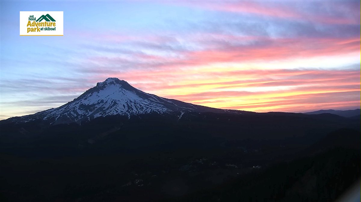 Jeff Forgeron tweet media