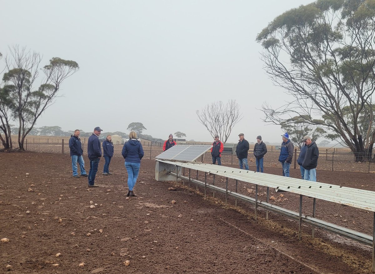 Zoe Starkey tweet media