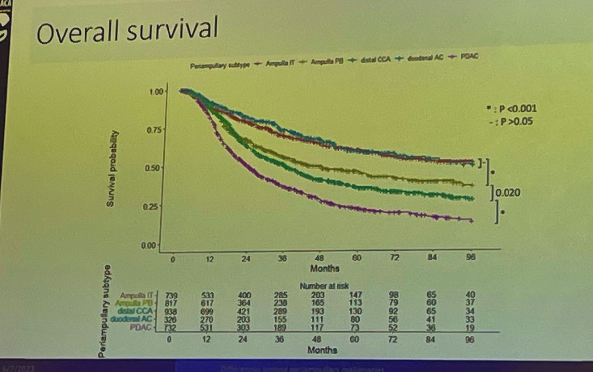 <a href="/EAHPBA/">E-AHPBA</a> 2023 Lyon 🦁

👉🏼Periampullary tumors are not the same!

☝🏽we have to seperate apples from oranges

🖋large retrospective multicenter study from <a href="/Abuhilal9Abu/">Mohamed Abu Hilal</a> and <a href="/MarcBesselink/">Marc Besselink</a>