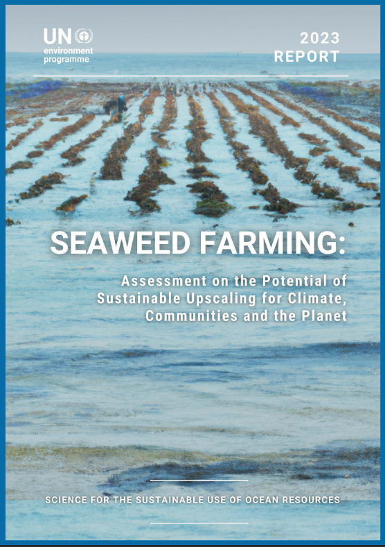 Global Seaweed Coalition tweet media