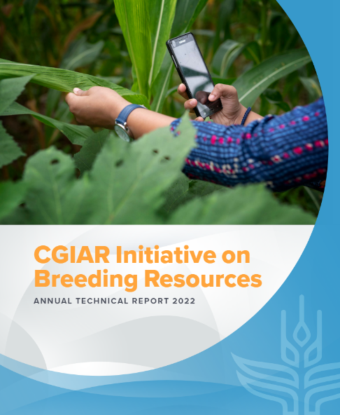 CGIARbreeding's tweet photo. ❔Wondering about the work &amp; impact of Breeding Resources Initiative? Here's what we accomplished in 2022 alone:

🏆 New sequencing service established

🏆 11 reference genomes released

🏆 A new data management system deployed

🏆 &amp; much more

Learn more: https://t.co/o8fhmXdiRg https://t.co/3mw8OCgWGy