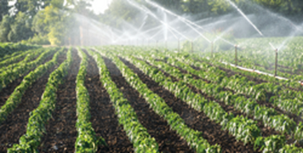 Animals_EFSA's tweet photo. Join our webinar on the role of #water use in growing, handling, and processing of #fruits 🍎, #vegetables 🥦, and #herbs 🌿on the spread of #antimicrobialresistance.

Learn more here 👉 https://t.co/E4ueBDOjDZ!
Registration deadline until 15/06/2023 https://t.co/jwn7GoJqUE