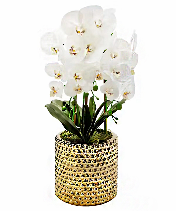 PughsFlowers's tweet image. If you want to add a touch of lasting beauty to your home or office, we have the perfect solution!  This artificial orchid features thick leaves and realistic blooms and is gorgeous in this gold-hammered pot.

 #Pughs #silkflowers #orchids #flowerbouquets #flowers #florist