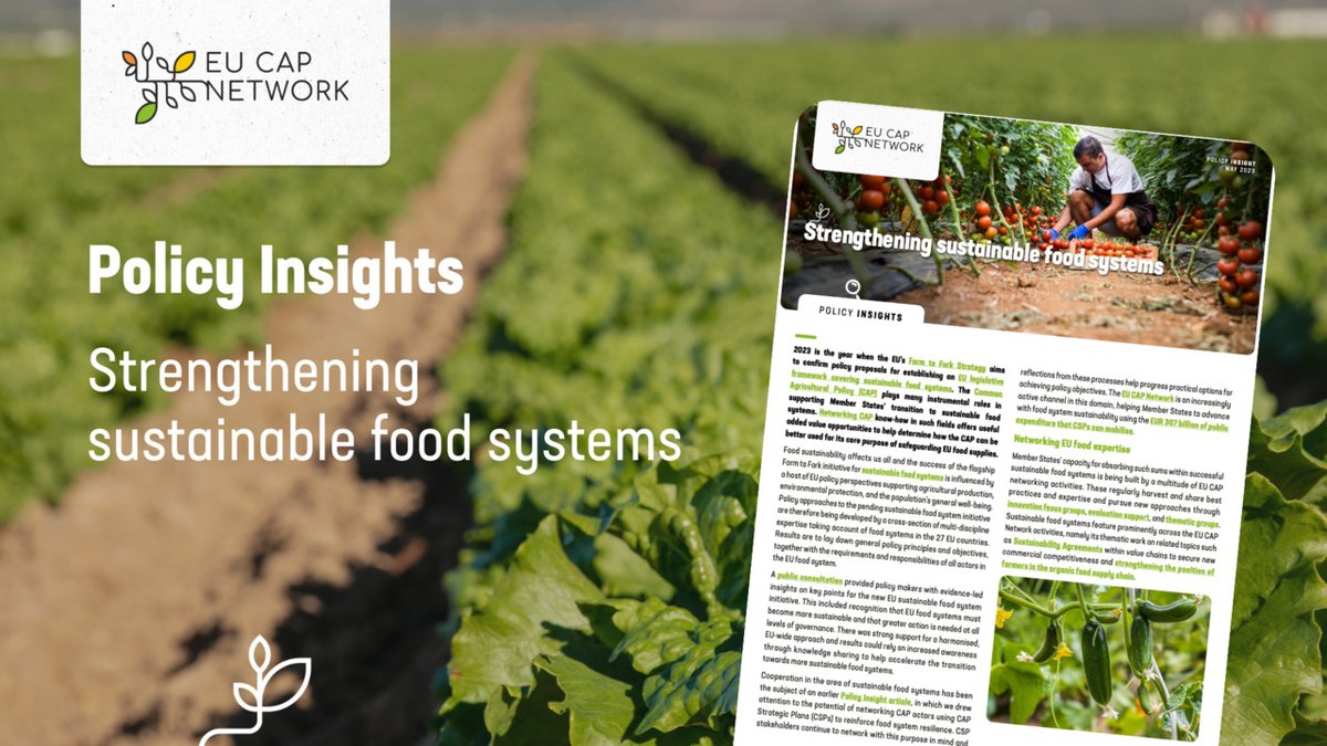 The #CAP supports Member States' transition to sustainable food systems🍎🍞

Learn more about this topic in our our Policy Insights article 'Strengthening sustainable food systems'.

Read it here 👉 shorturl.at/eqrK7