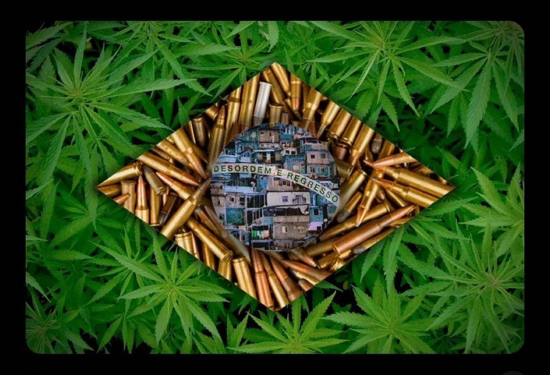 aldoadv's tweet image. • Domínio do Crime Organizado
• Políticos CorruPTos
• Roubalheira
• 🇻🇳☠️