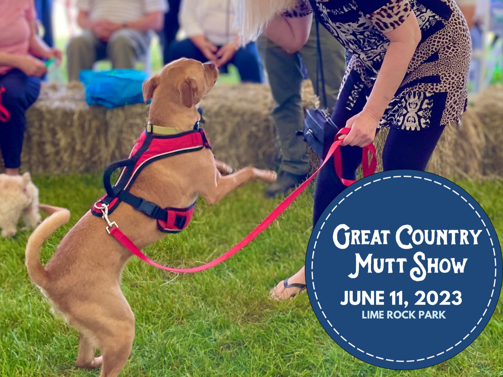 Lime Rock Park on Twitter "The Great Country Mutt Show will be held