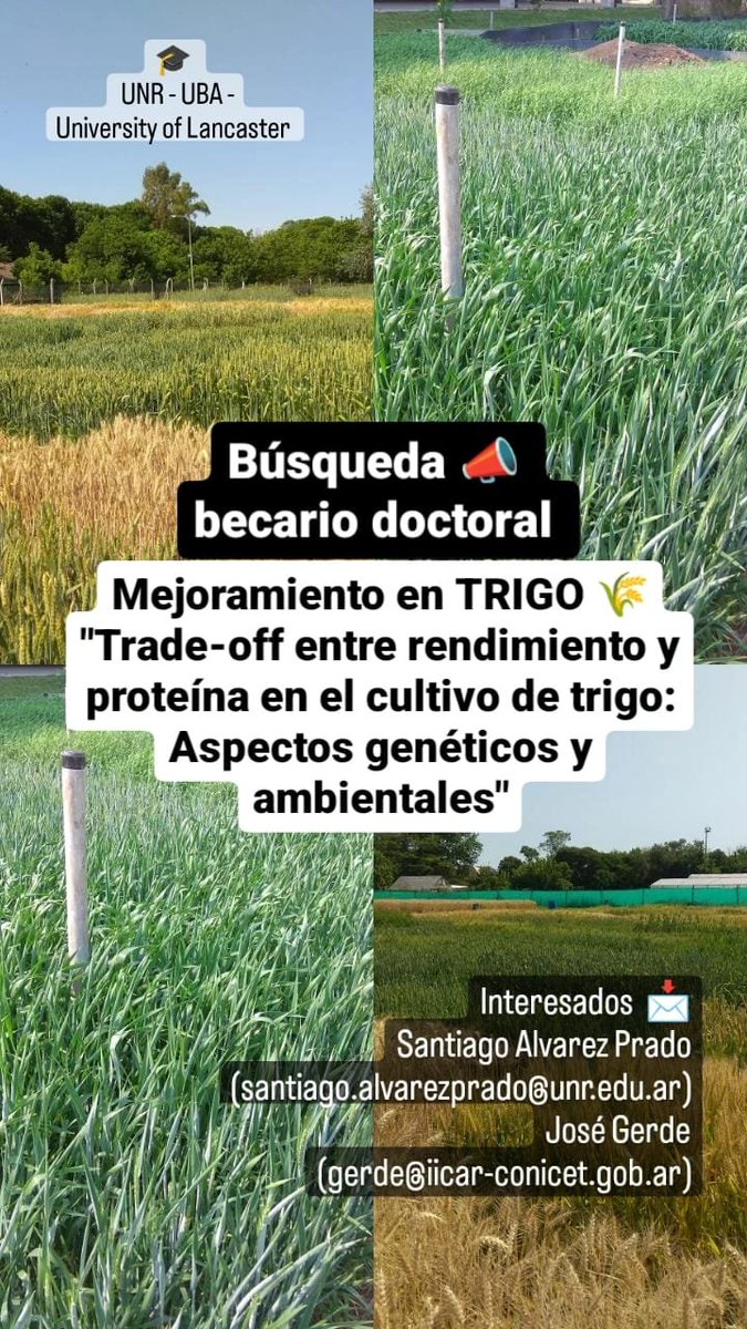 Busqueda de Becario doctoral