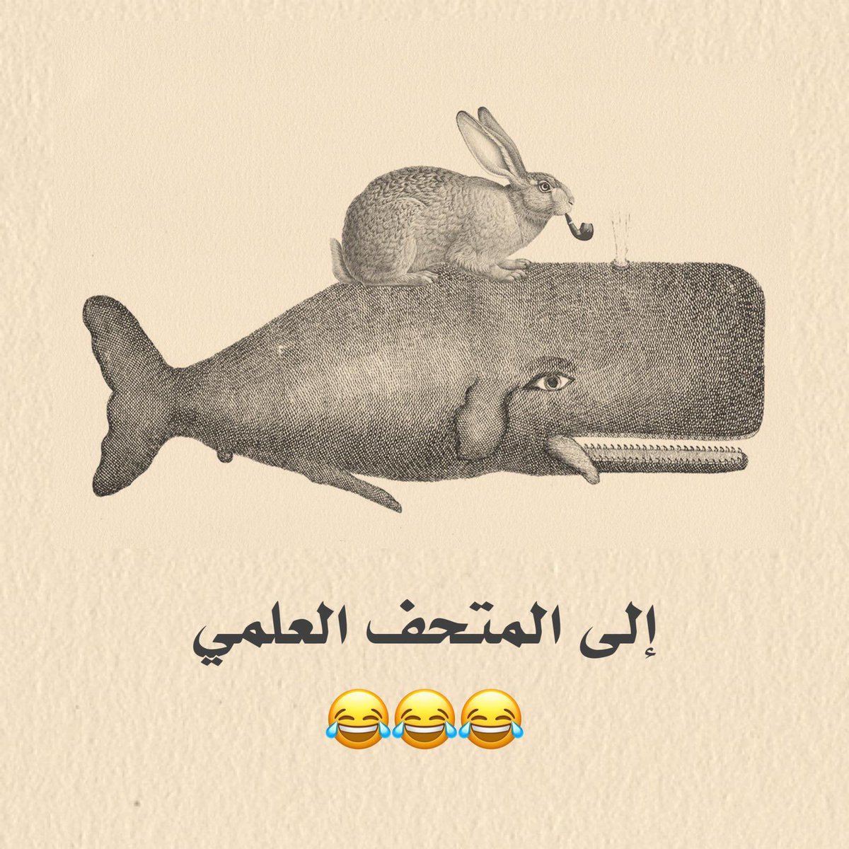 اطالب مجلس الوزراء بنقل ( الارنب و الحوت ) اللي المتحف العلمي 
😂😂