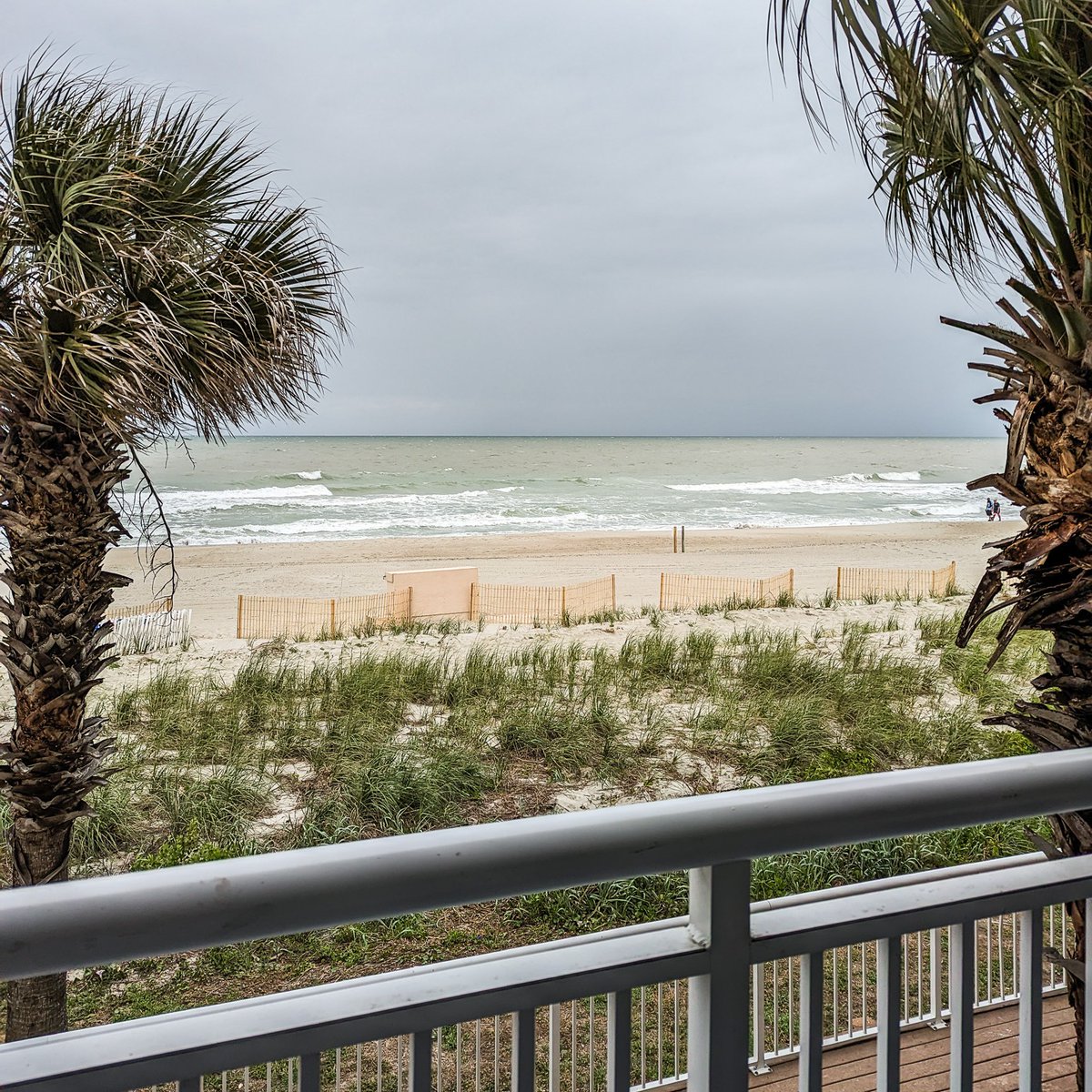 SandbarMB's tweet photo. Waking up to this outside your door >>> https://t.co/McXkXNU1Su